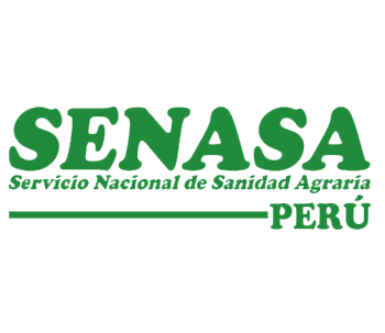 Certificación 5